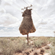 Illustration for article titled What are these mysterious structures in the southern Kalahari?